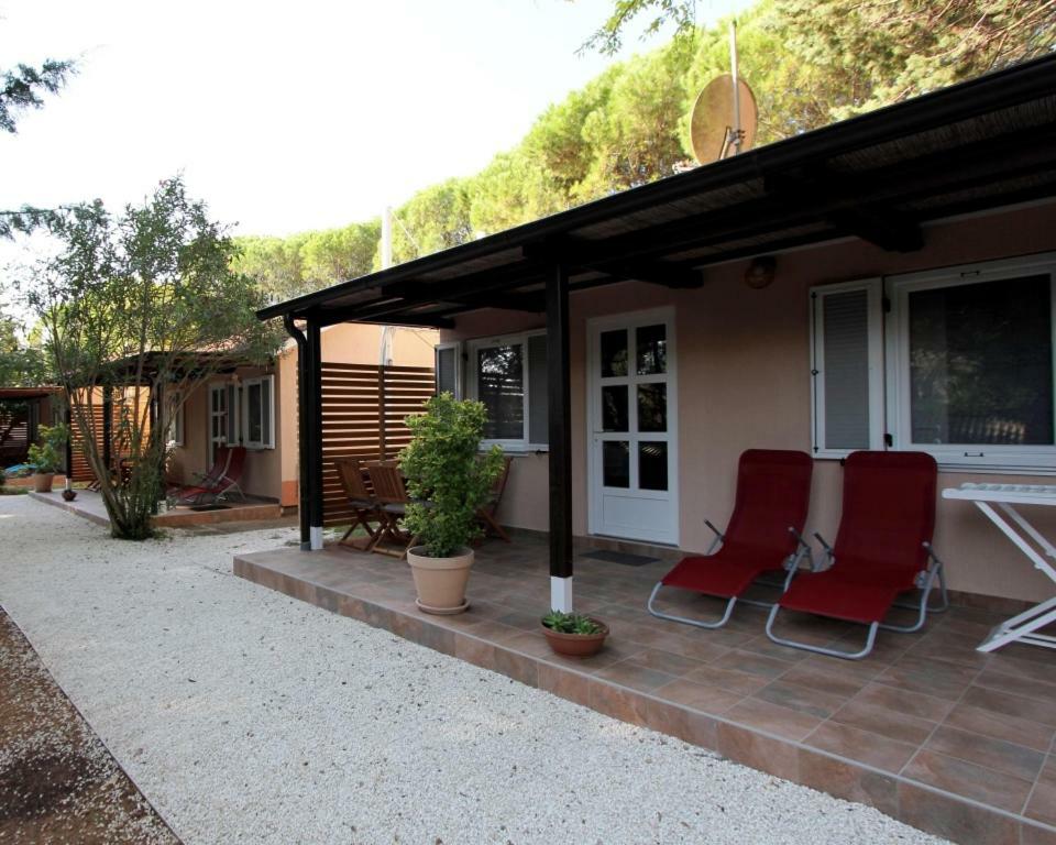 Bungalow Comfort 100 M From The Beach Premantura Exterior photo